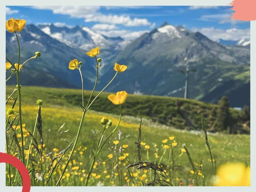 Naturhalt Kontakt in die Natur – Blumenwiese und Berge