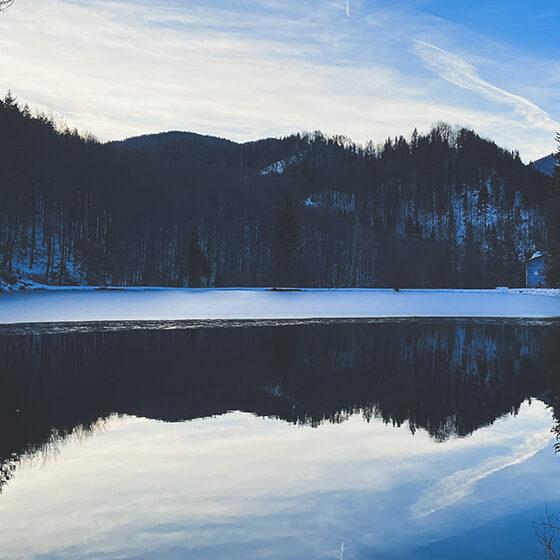 Naturhalt Stimmungsbild Jahreskreis Winter mit winterlichem See
