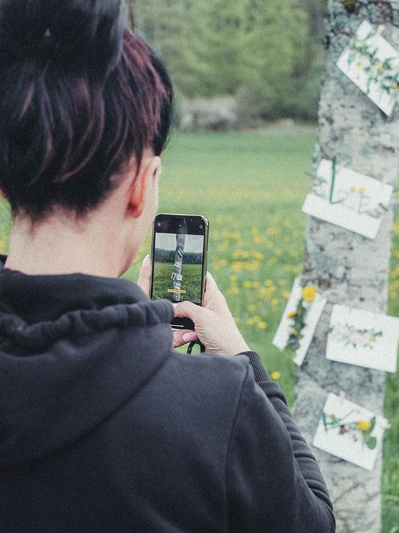 Yoga- und Natur-Retreat Teilnehmerin fotografiert Ergebnis der Waldbade-Übung