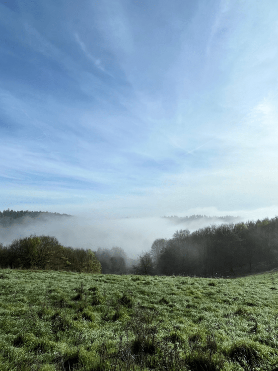 Bildschirmhintergrund für einen achtsamen Jahresausklang: Wolken und Wiesen
