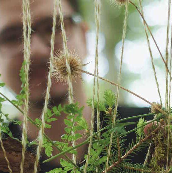 Waldbild mit Person für den Waldbade-Termin am 16.06.2024: Kreativität in der Natur erleben. Themen-Waldbaden