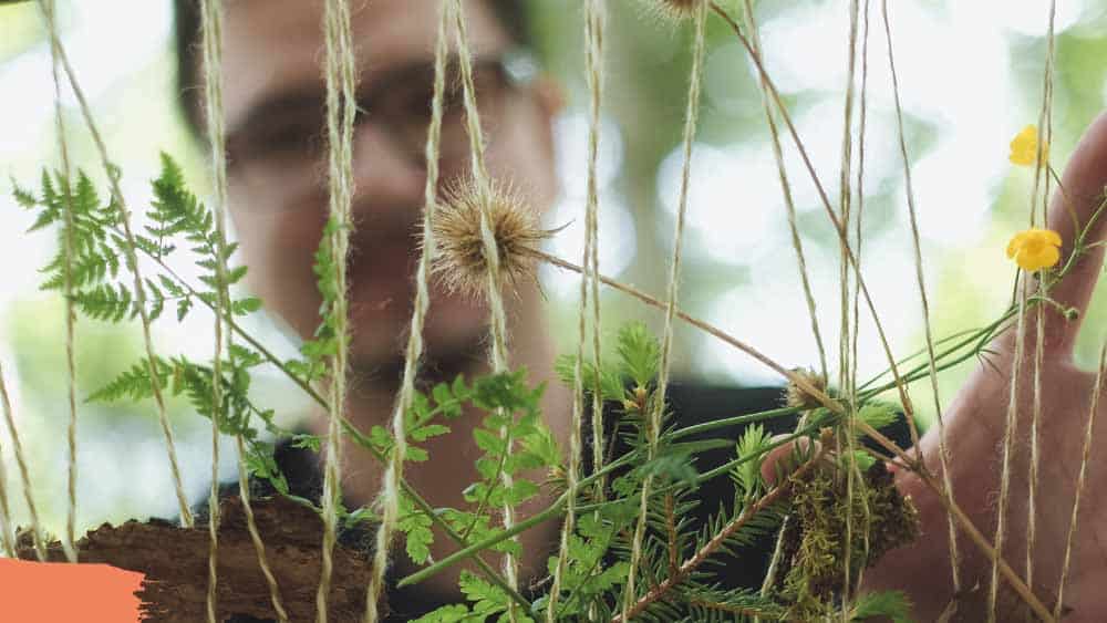 Waldbild mit Person für den Waldbade-Termin am 16.06.2024: Kreativität in der Natur erleben. Themen-Waldbaden