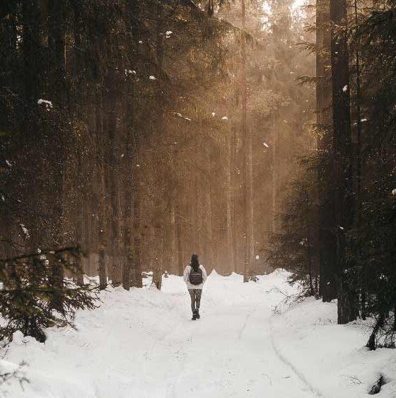 Winterliches Waldbild für dem Waldbade-Termin am 08.12. für einen achtsamen Jahresabschluss 2024