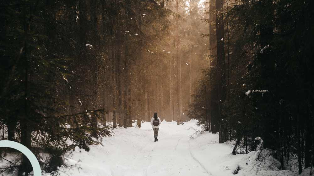 Winterliches Waldbild für dem Waldbade-Termin am 08.12. für einen achtsamen Jahresabschluss 2024