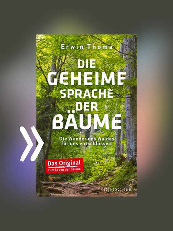 Achtsamer Jahresausklang: „Die geheime Sprache der Bäume – Die Wunder des Waldes für uns entschlüsselt“ von Erwin Thoma
