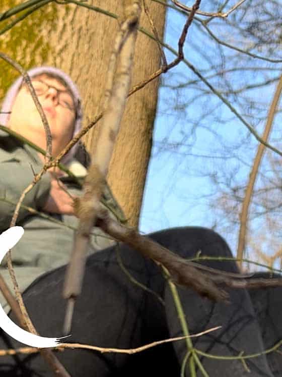 Achtsamer Jahresausklang: Bewusstes Hören zur staaden Zeit im Wald.