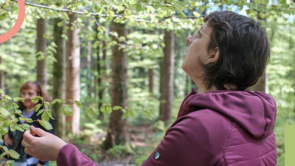Veranstaltung: Mai-Waldbaden im Ebersberger Forst am 18.05.