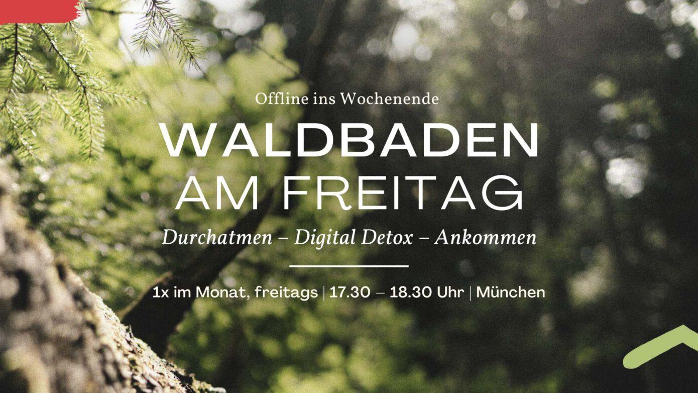 Offline ins Wochenende: Waldbaden am Freitag – in den Isarauen