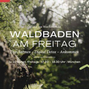 Offline ins Wochenende: Waldbaden am Freitag | August