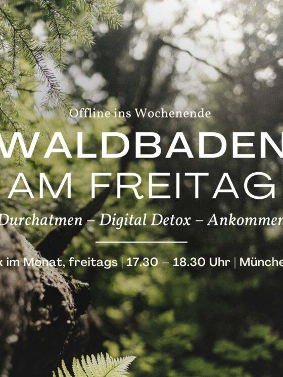Offline ins Wochenende: Waldbaden in den Isarauen – freitags, Spendenbasis