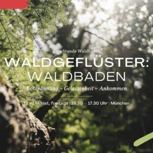 Waldgeflüster: Waldbaden zum Wochenende | Juni