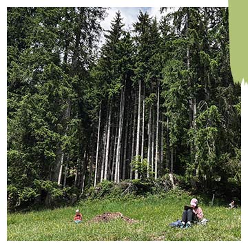 Mein Angebot von NATURHALT: Retreats in der Natur
