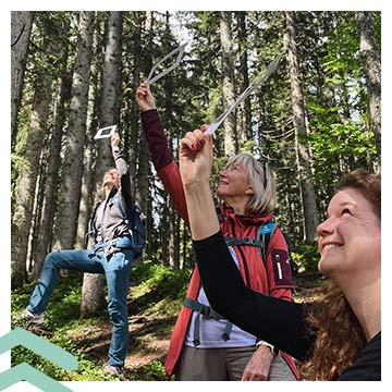 Mein Angebot von NATURHALT: Teamevent im Wald