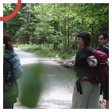 Mein Angebot von NATURHALT: Waldbaden