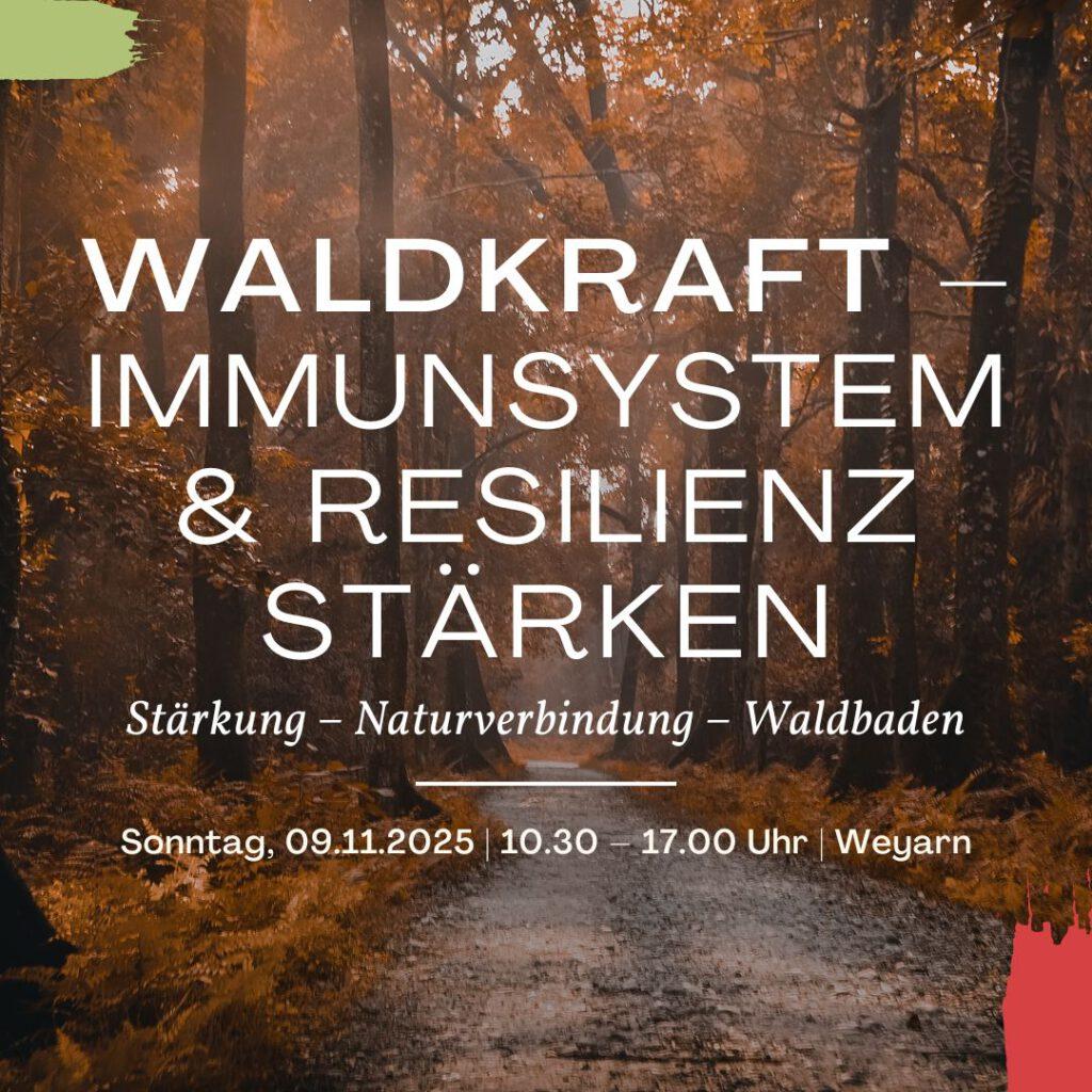 Tages-Retreat | Waldkraft: Immunsystem & Resilienz stärken | in Weyarn, Bayern