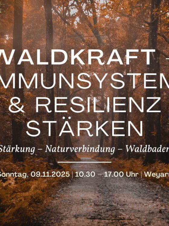 Tages-Retreat | Waldkraft: Immunsystem & Resilienz stärken | in Weyarn, Bayern