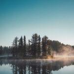 Wald statt Wohnzimmer: Stärke im Wald deine Resilienz und dein Immunsystem