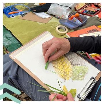 Nature Journaling mit NATURHALT – kreatives Waldbaden