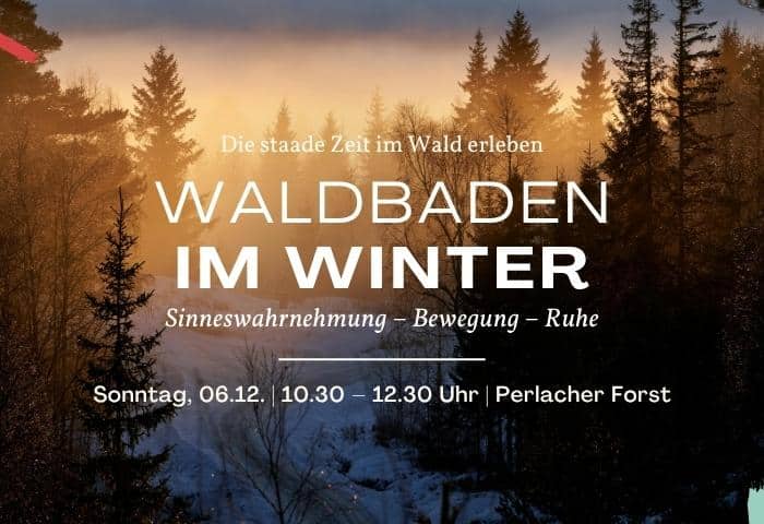 Waldbaden im Winter